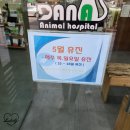 다나 동물병원 이미지
