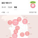 개화(아) 이미지