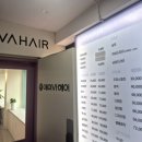 도로변(개봉로20길 74)(2) | 2025.09.13(토) 앞머리 자르기 드디어 성공!! 삽살이 앞머리 탈출!!