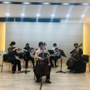 (1:1레슨)첼로 개인레슨(30분) 이미지