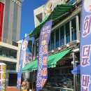 산호옥횟집 | 부산 서구 맛집 송도해수욕장 오징어 물회 산호옥 횟집