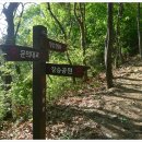 대청호오백리길 대청로하스길 이미지