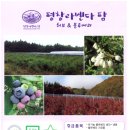 평창라벤다(유)농업회사법인