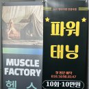 머슬팩토리 하단점 이미지