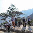 울산클린 이미지