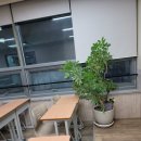 사고력논술월든학원 | 깊이 있는 사고력과 표현력이 확장되는 노은동 논술학원 후기
