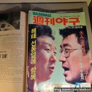 신일종합정비 | 동대문운동장 철거 문화재 발굴 한양도성 이간수문 역사의 기억