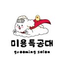 미용특공대 이미지