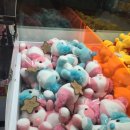 둘리인형뽑기 이미지