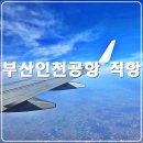 부산 인천공항 직항, 환승 내항기 이용 호주 시드니 여행 (시간표)