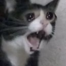 지코바숯불갈비 | 안동 1박 2일 여행일기 (1) 안동하회마을 , 병산서원 , 우정갈비