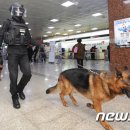 광주공항 이미지