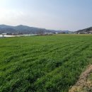 부남1리마을회관 이미지