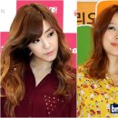 헤어포인트 bnt뉴스