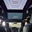 만능카인테리어 | 기아 카니발 하이리무진 9인승 프레스티지 하이루프 특장