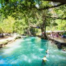 ㈜보물섬투어 이미지