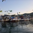 황금낚시 | 4짜 우럭들의 습격, 무시물때 여밭 및 물골 캐스팅낚시 후기