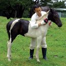 가라월라 이미지