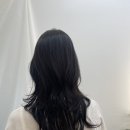 바비수앤 이미지