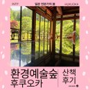 가야환경 | 후쿠오카 여행 간다면 꼭 가야할 사진 명소 환경 예술의 숲
