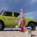 월드펫투어 이미지