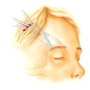 라비앙성형외과의원 이미지