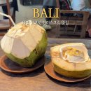 슈가 포레스트(SUGAR FOREST) | 발리 우붓 코코넛아이스크림 카페 맛집 추천 투키스 위치 가격 음료 코코넛 칩 쿠키 잼