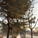 노랑통닭전주혁신도시점