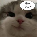 5월 중국 상하이 여행 일정 / 중국입국심사, 신천지 맛집, 와이탄 야경 현실 후기, 미니소, 팝마트
