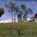 신원도서관 화장실 이미지