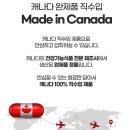 피엔티 이미지