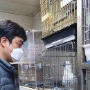 인터넷조류원 | 청계천 조류원
