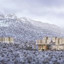 파라스파라 서울 이미지