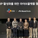 마운드미디어