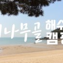 감 이야기 캠핑장 이미지