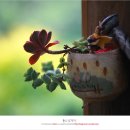 보절중학교 이미지