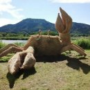 섬나라 - 고흥군 | 섬나라