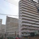 신세계아파트 이미지