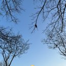 마왕족발상모사곡점 이미지