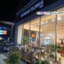 던킨도너츠 물금점 | 양산 꽃집 양산물금 꽃가게 플라워샵 양산예쁜꽃집 ☞서리단 플라워