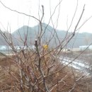 형근농장 이미지