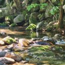 단양365할인마트 | 단양펜션 단양숙소 샬롬펜션 단양여행 소백산여행...쉬고 왔던 진짜 솔직한 체험 후기드립니다!