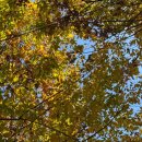 부광 농장 이미지