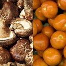 우마미(umami) 이미지