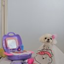 바우라움 메인캠퍼스 이미지