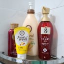 동곡천 | 광양펜션 더휴민박, 백운산과 동곡천이 어우러진 힐링여행