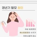 에클라헤어 - 미추홀구 미추홀대로 591 | 에클라헤어