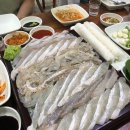 동해바다회 이미지