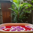 바이독한 | 발리] 발리 여행 후기 2 : 우붓/푸리 사라스와띠 디지...와룽마칸부루스/푸트리스파3/프라사자 바이 아랑