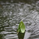 마암초등학교 이미지